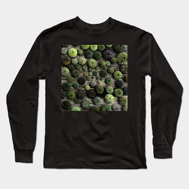 Urchins Long Sleeve T-Shirt by aeolia